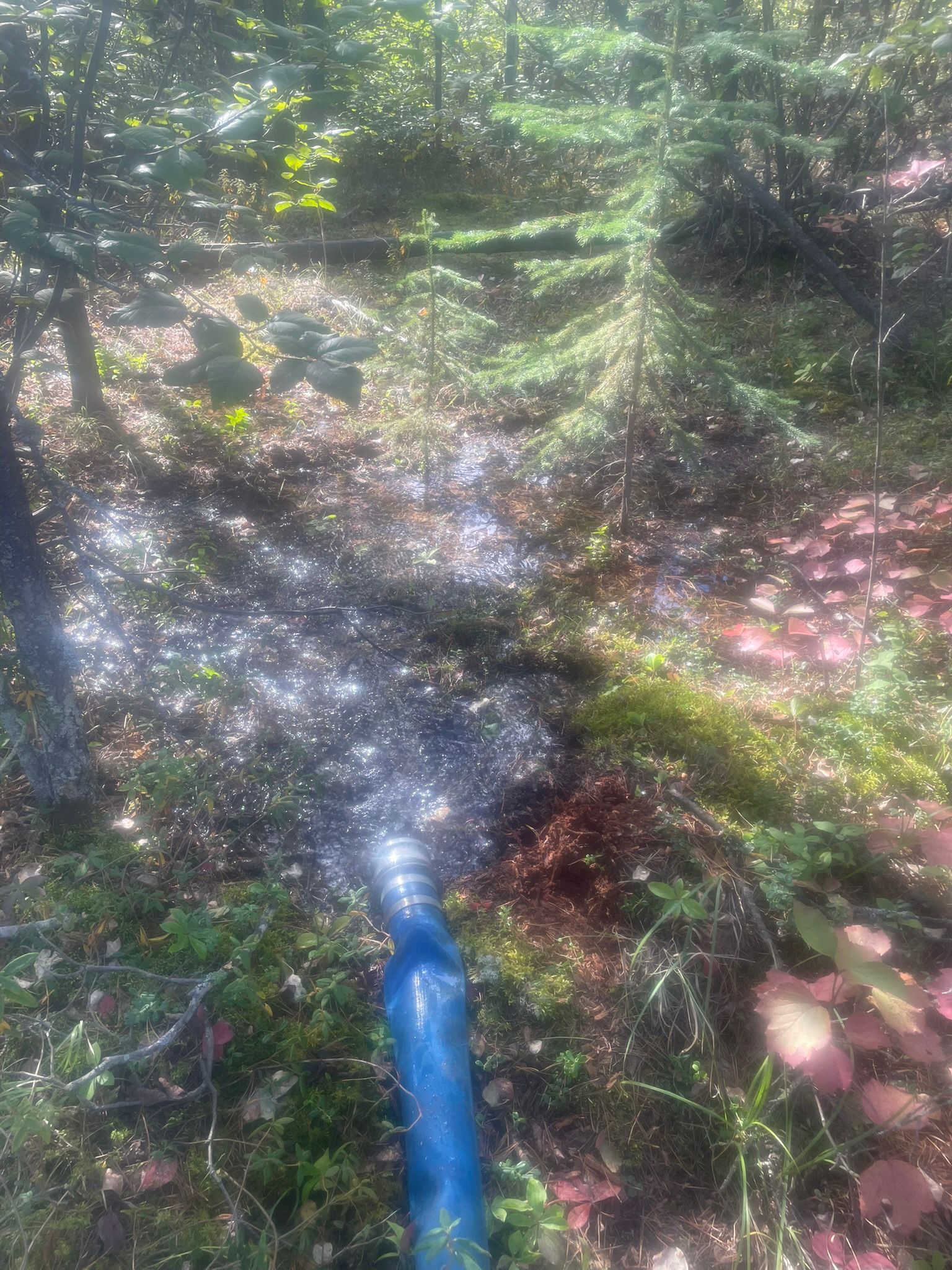 Pump Test & Well Rehab